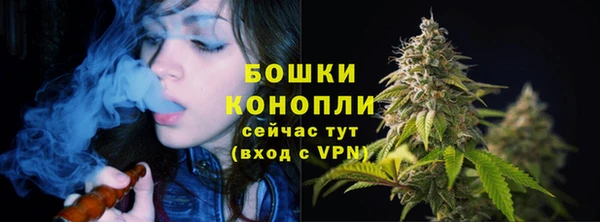 героин Горняк