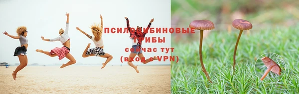 героин Горняк